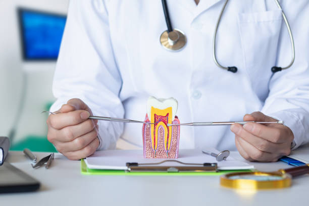 Best Emergency Root Canal Treatment in Pine Manor, FL
